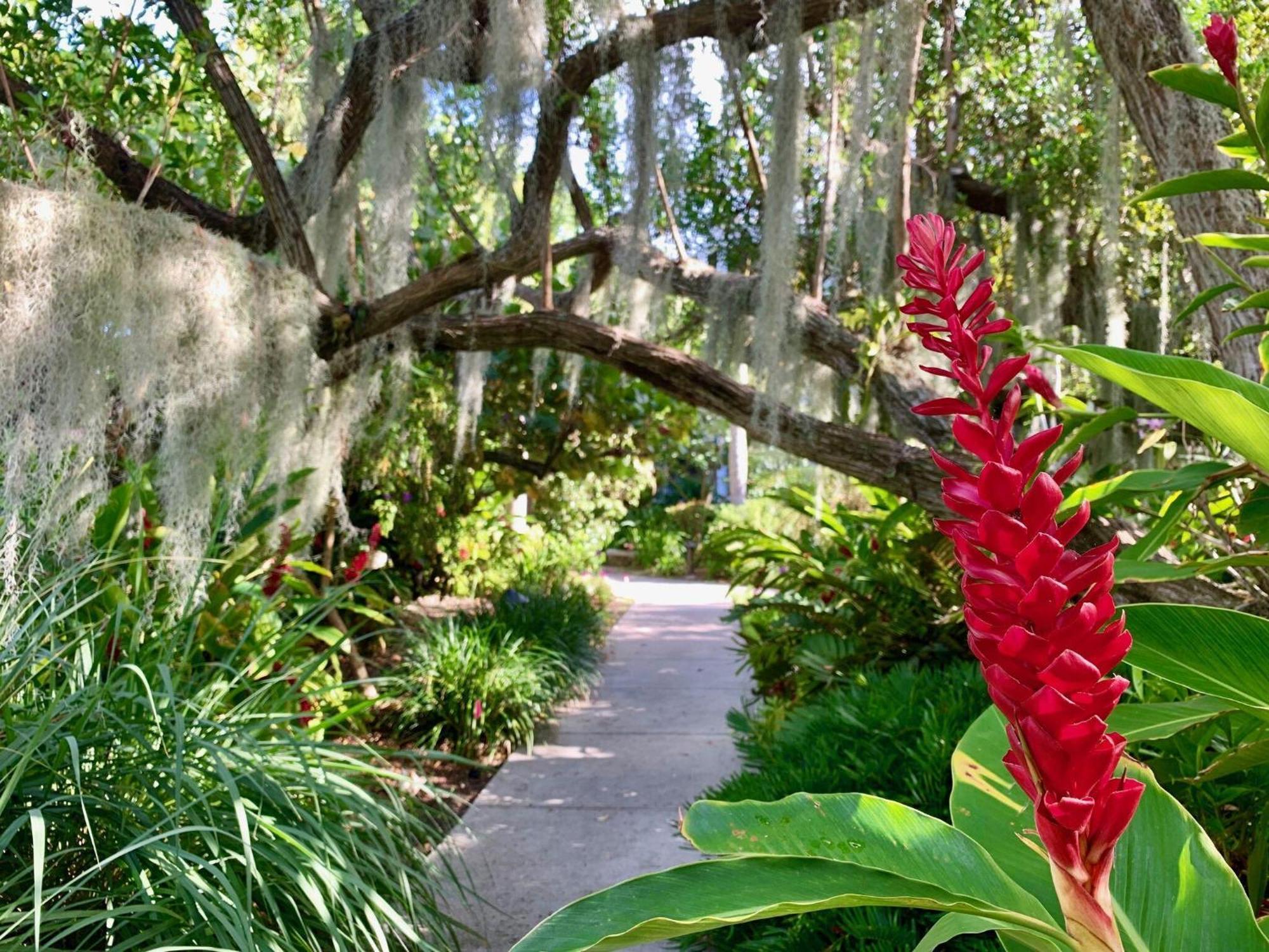 Hébergement de vacances Botanical Island Delight Key West